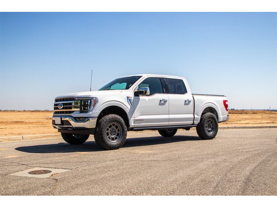 フォード　F150 TA02 Cognito 2.5-Inch Performance Leveling Kit with Elka 2.0 IFP